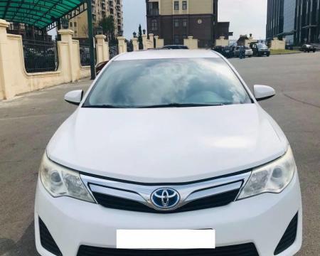 ქირავდება - ტურები