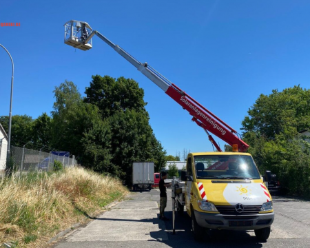 ამწე კალათა