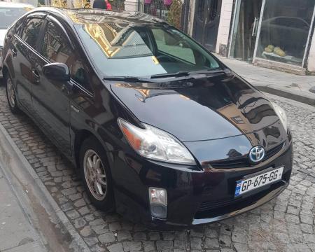 დღიური გაქირავება