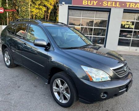 Ular qichqiriq va konvulsiyalar bilan yakunlanadi