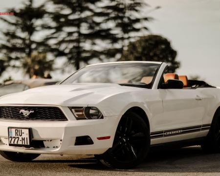 ქირავდება დღიურად