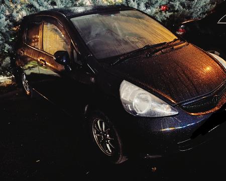 ქირავდება დღიურად