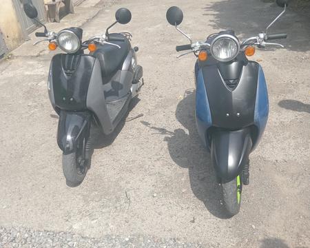 Ქირავდება მოპედები 