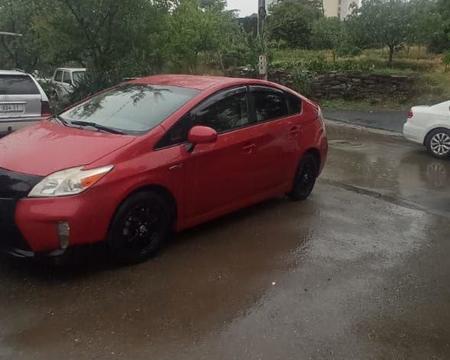 ქირავდება დღიურად