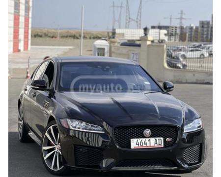 იაგუარი