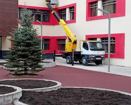 ამწე კალათა 