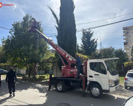 ამწე კალათა გამოძახებით