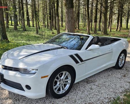 ქირავდება ქუთაისში