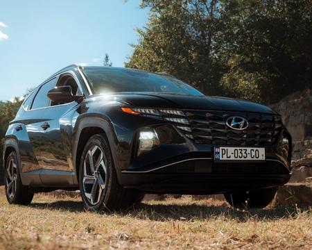 ქირავდება