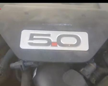 ქირავდება დღიურად